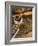 Fly Fishing Equipment-Tom Grill-Framed Photographic Print