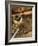 Fly Fishing Equipment-Tom Grill-Framed Photographic Print