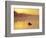 Fly-fishing in Lake Muskoka, Ontario-Henry Georgi-Framed Photographic Print