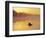 Fly-fishing in Lake Muskoka, Ontario-Henry Georgi-Framed Photographic Print