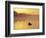 Fly-fishing in Lake Muskoka, Ontario-Henry Georgi-Framed Photographic Print