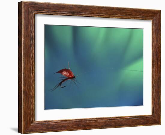 Fly Fishing Lure-null-Framed Photographic Print