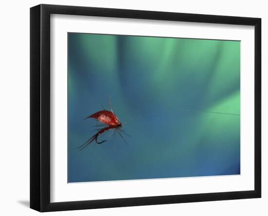 Fly Fishing Lure-null-Framed Photographic Print