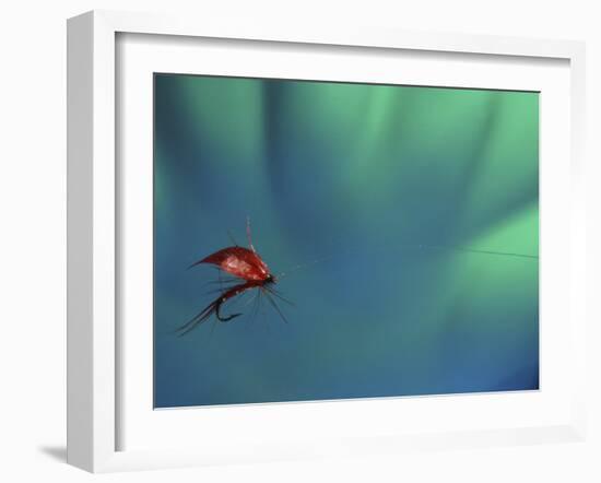 Fly Fishing Lure-null-Framed Photographic Print