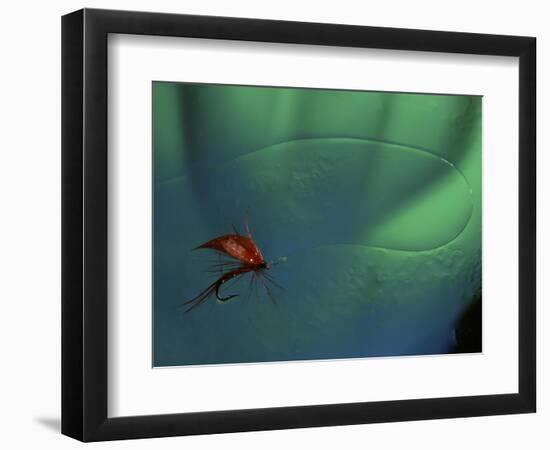 Fly Fishing Lure-null-Framed Photographic Print