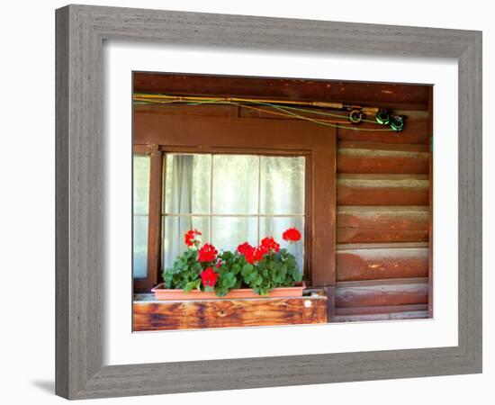 Fly Fishing Rods on Cabin Wall, Lake City, Colorado, USA-Janell Davidson-Framed Photographic Print