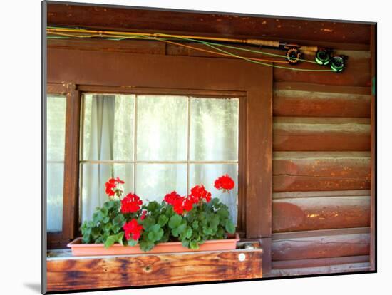 Fly Fishing Rods on Cabin Wall, Lake City, Colorado, USA-Janell Davidson-Mounted Photographic Print