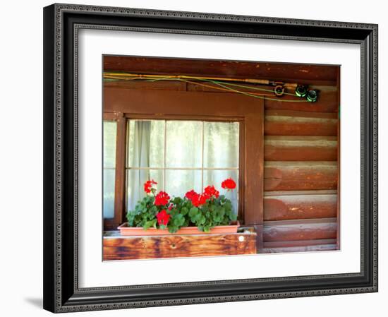 Fly Fishing Rods on Cabin Wall, Lake City, Colorado, USA-Janell Davidson-Framed Photographic Print