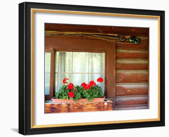 Fly Fishing Rods on Cabin Wall, Lake City, Colorado, USA-Janell Davidson-Framed Photographic Print