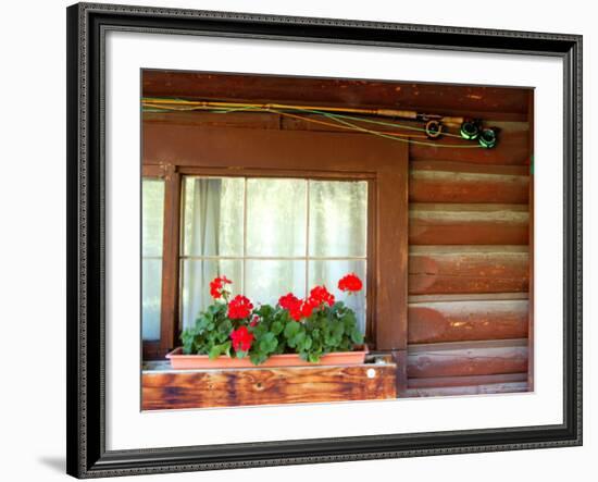 Fly Fishing Rods on Cabin Wall, Lake City, Colorado, USA-Janell Davidson-Framed Photographic Print