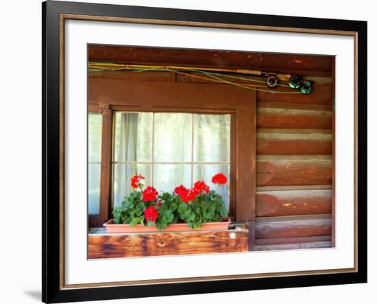 Fly Fishing Rods on Cabin Wall, Lake City, Colorado, USA-Janell Davidson-Framed Photographic Print