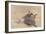 Fly Fishing, Saranac Lake, 1889-Winslow Homer-Framed Giclee Print