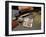 Fly Fishing Still Life-null-Framed Photographic Print