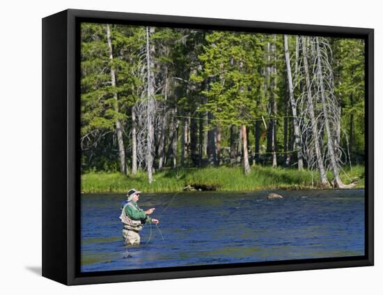 Fly Fishing the Madison River in Yellowstone National Park, Montana, Usa-David R. Frazier-Framed Premier Image Canvas
