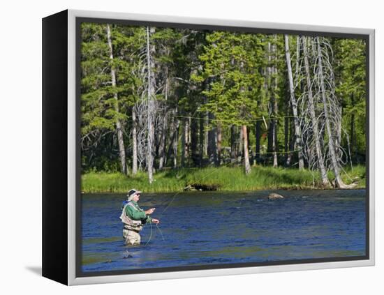 Fly Fishing the Madison River in Yellowstone National Park, Montana, Usa-David R. Frazier-Framed Premier Image Canvas