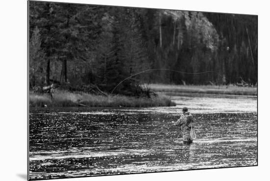Fly Fishing Yellowstone WY B W-Steve Gadomski-Mounted Photographic Print