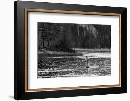 Fly Fishing Yellowstone WY B W-Steve Gadomski-Framed Photographic Print