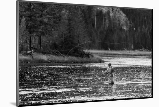 Fly Fishing Yellowstone WY B W-Steve Gadomski-Mounted Photographic Print