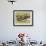 Fly Fishing-Kate Ward Thacker-Framed Giclee Print displayed on a wall