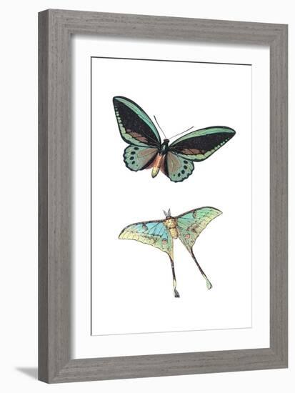 Fly Free 1-Kimberly Allen-Framed Art Print