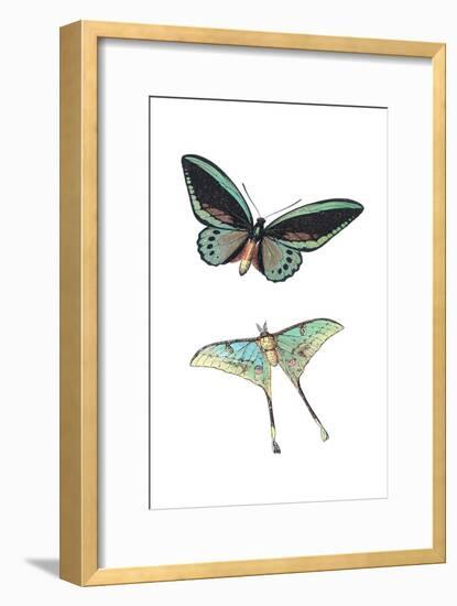 Fly Free 1-Kimberly Allen-Framed Art Print