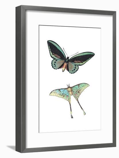 Fly Free 1-Kimberly Allen-Framed Art Print