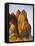 Fly Geyser, Black Rock Desert, Nevada, USA-Cathy & Gordon Illg-Framed Premier Image Canvas