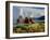 Fly Geyser In the Black Rock Desert, Nevada, USA-Keith Kent-Framed Photographic Print