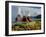 Fly Geyser In the Black Rock Desert, Nevada, USA-Keith Kent-Framed Photographic Print