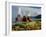 Fly Geyser In the Black Rock Desert, Nevada, USA-Keith Kent-Framed Photographic Print