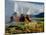 Fly Geyser In the Black Rock Desert, Nevada, USA-Keith Kent-Mounted Photographic Print