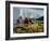 Fly Geyser In the Black Rock Desert, Nevada, USA-Keith Kent-Framed Photographic Print