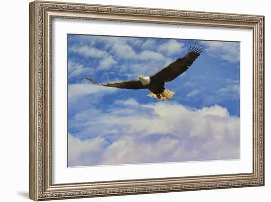 Fly High Bald Eagle-Jai Johnson-Framed Giclee Print