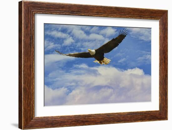 Fly High Bald Eagle-Jai Johnson-Framed Giclee Print