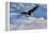 Fly High Bald Eagle-Jai Johnson-Framed Premier Image Canvas