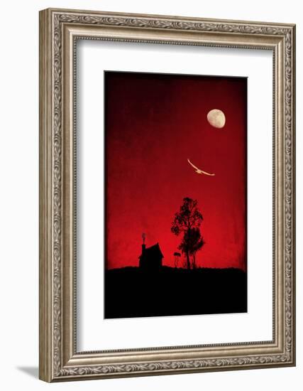 Fly High-Philippe Sainte-Laudy-Framed Photographic Print