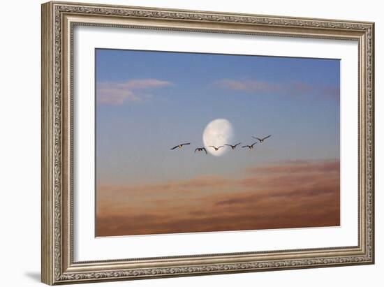 Fly Me to the Moon-Adrian Campfield-Framed Photographic Print