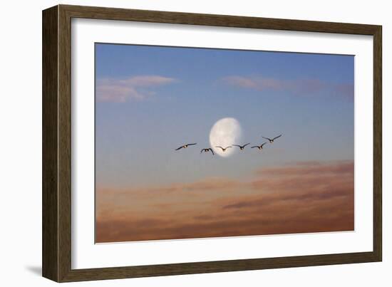 Fly Me to the Moon-Adrian Campfield-Framed Photographic Print