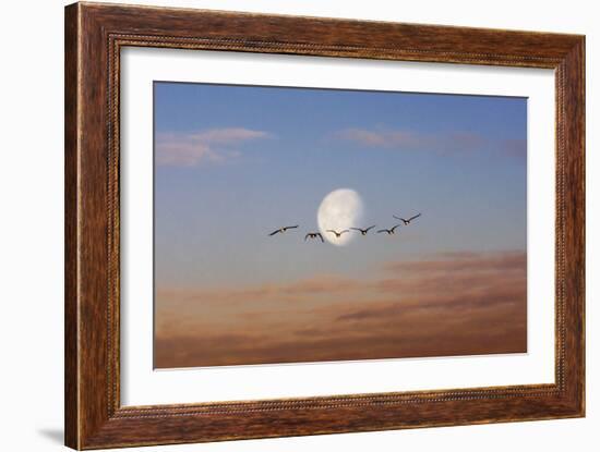 Fly Me to the Moon-Adrian Campfield-Framed Photographic Print