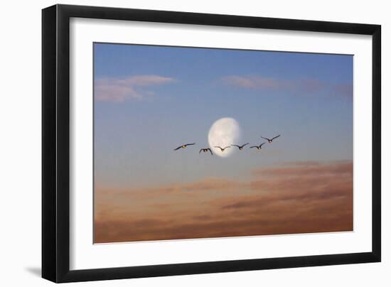 Fly Me to the Moon-Adrian Campfield-Framed Photographic Print