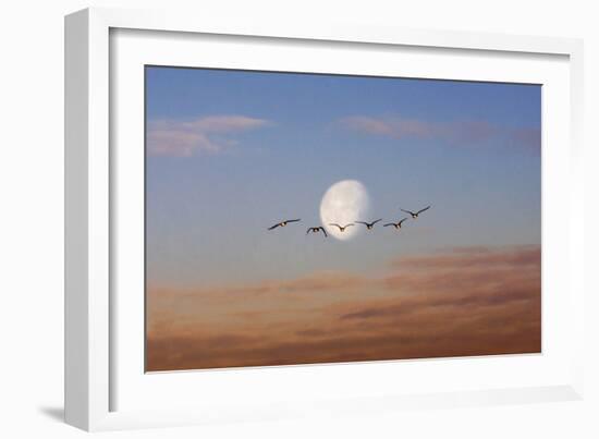 Fly Me to the Moon-Adrian Campfield-Framed Photographic Print