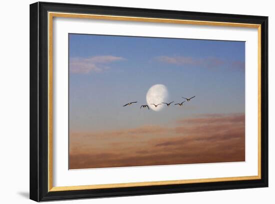 Fly Me to the Moon-Adrian Campfield-Framed Photographic Print