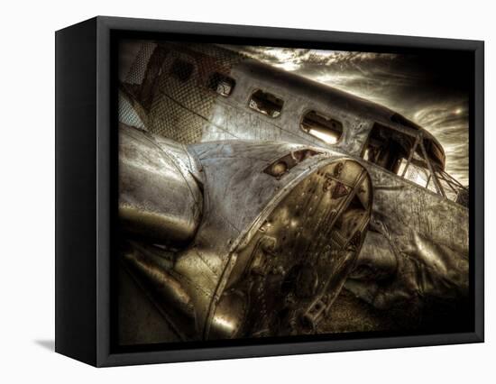 Fly Me-Stephen Arens-Framed Premier Image Canvas