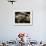 Fly Me-Stephen Arens-Framed Photographic Print displayed on a wall