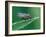 Fly resting on leaf, at dawn covered in heavy dew, UK-Andy Sands-Framed Photographic Print