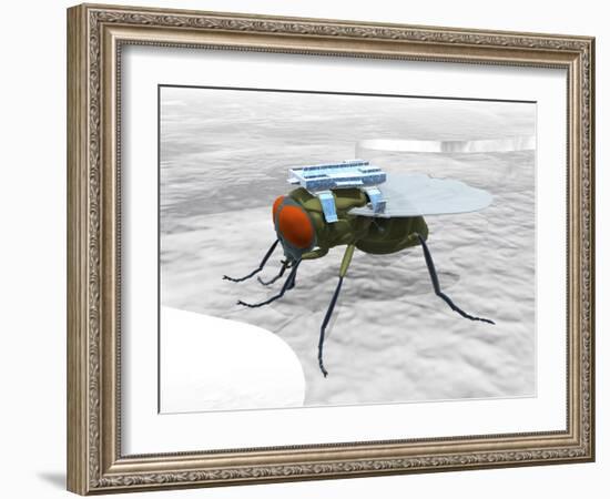 Fly with Microchip-Christian Darkin-Framed Photographic Print