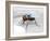 Fly with Microchip-Christian Darkin-Framed Photographic Print