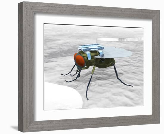 Fly with Microchip-Christian Darkin-Framed Photographic Print