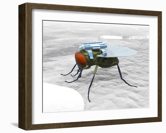 Fly with Microchip-Christian Darkin-Framed Photographic Print