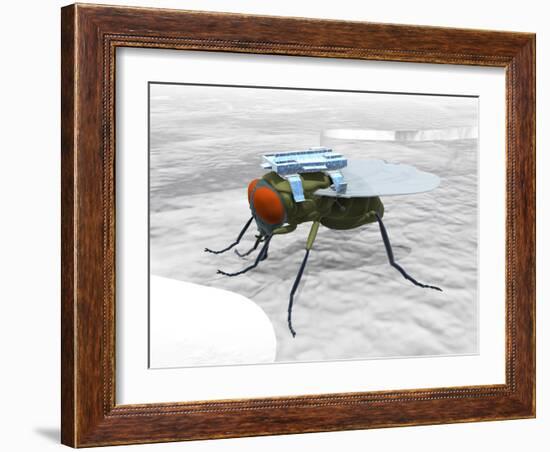 Fly with Microchip-Christian Darkin-Framed Photographic Print